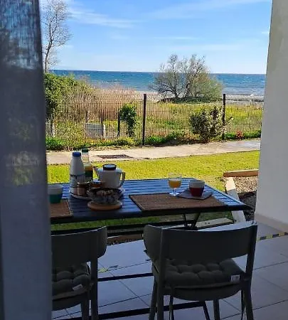 Charming, Very Cosy Ground Floor With Direct Access To The Beautiful Of Bravone , In Linguizitta Corsica Linguizzetta